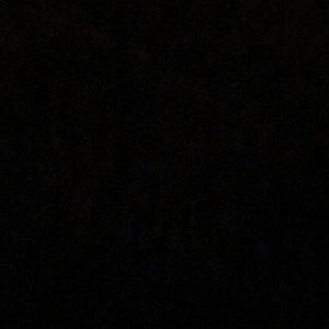 Meet your Posher, Korbin